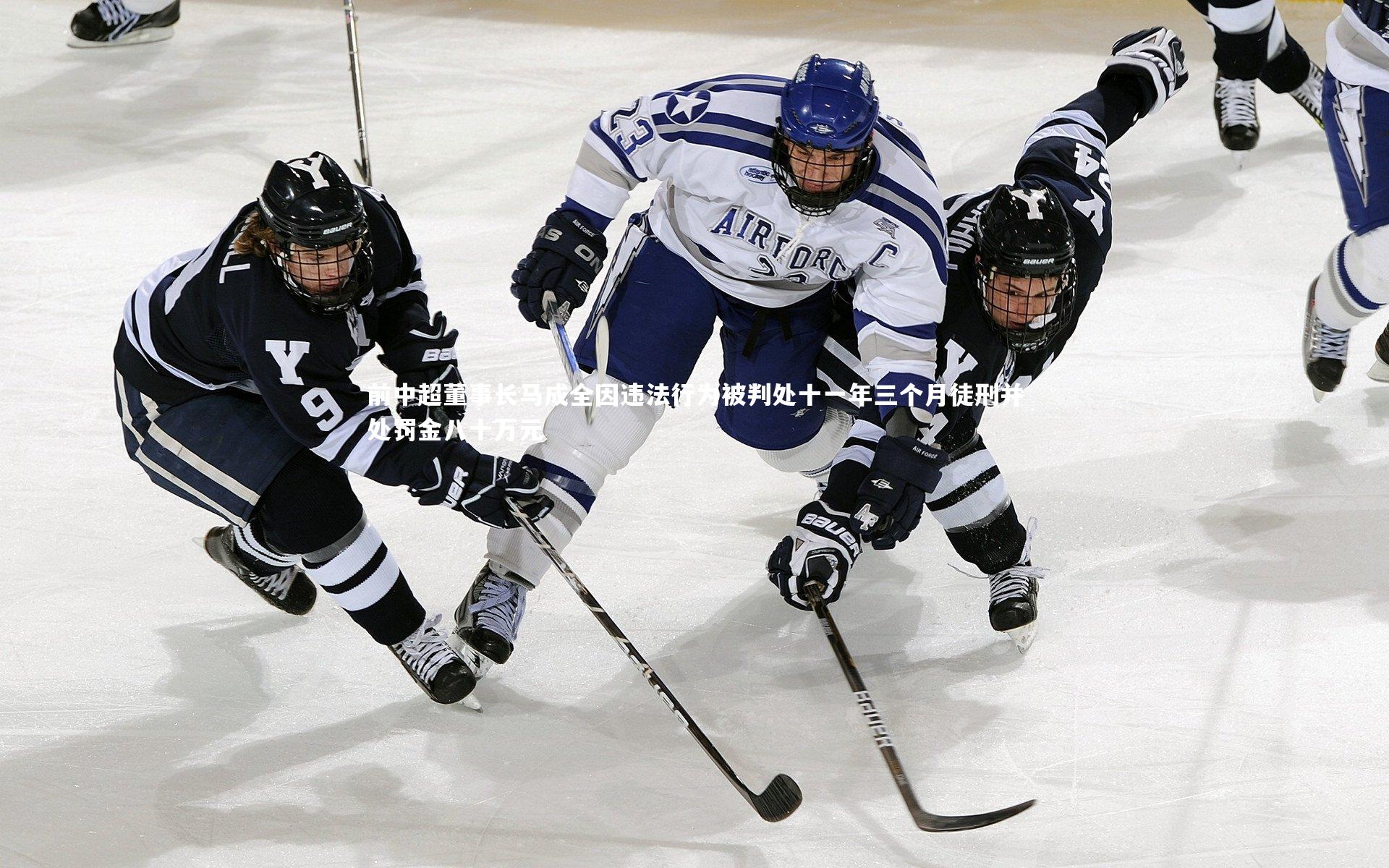 前中超董事长马成全因违法行为被判处十一年三个月徒刑并处罚金八十万元